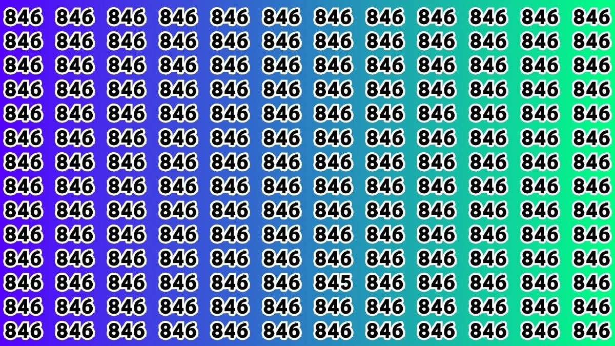 Observation Brain Test: If you have 4K Vision Spot the Number 845 in 8 Secs