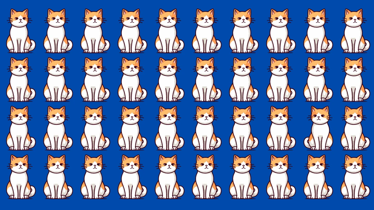 odd one out puzzle can you find the odd cat in 8 secs 66eaa5446b05a77384571 1200