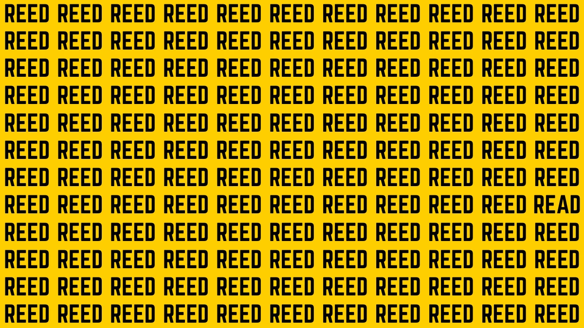 Optical Illusion: Can you Find the Word Read among Reed in 8 Secs