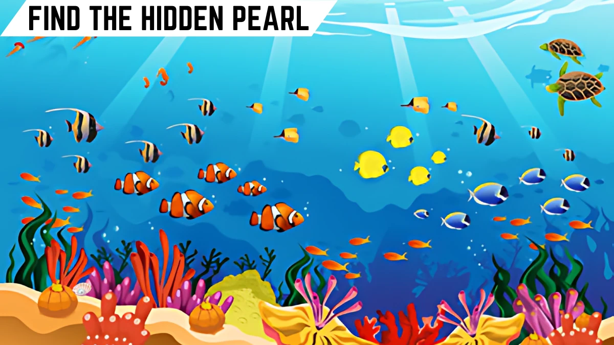 Optical Illusion Eye Test: Can You Find the Hidden Pearl in this Sea Image in 7 Secs