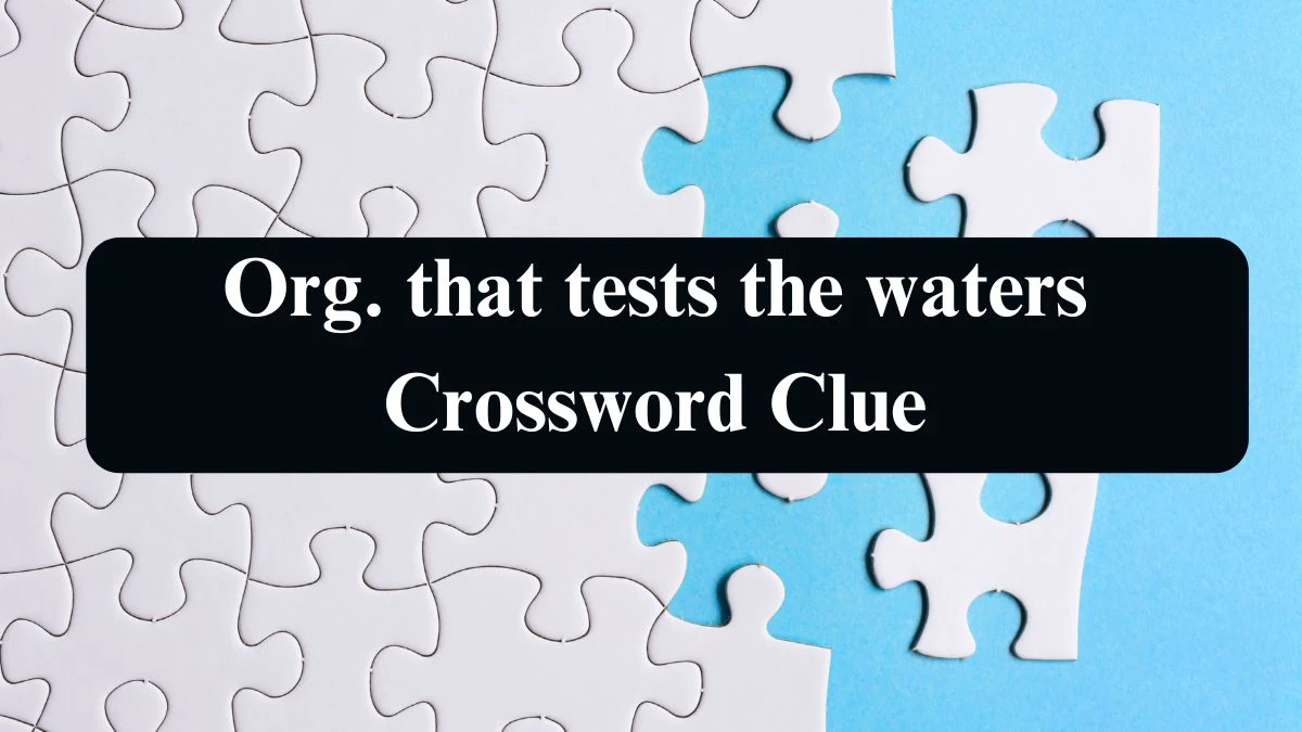 NYT Org. that tests the waters Crossword Clue Puzzle Answer from September 12, 2024