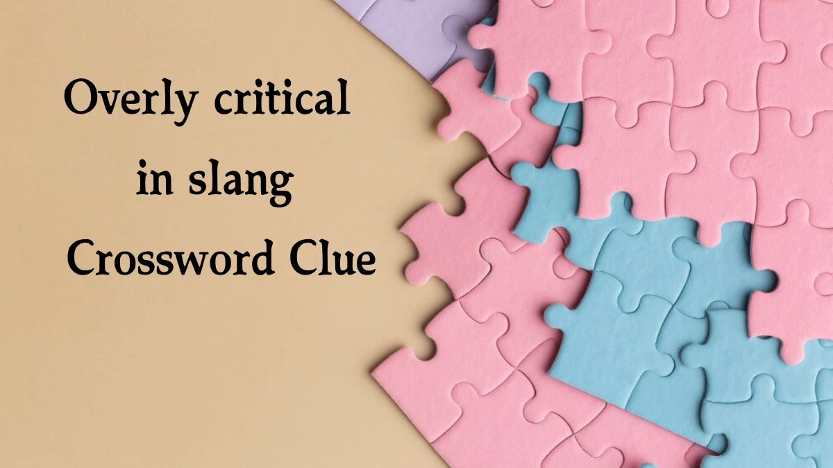 Overly critical in slang 7 Little Words Puzzle Answer from September 24, 2024