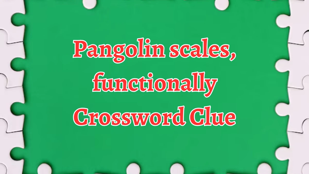 Pangolin scales, functionally NYT Crossword Clue Puzzle Answer from September 06, 2024