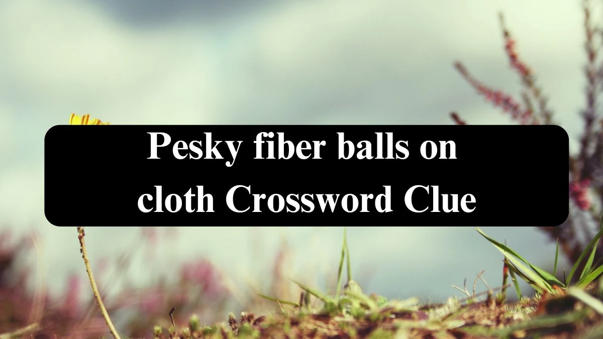 Pesky fiber balls on cloth 7 Little Words Puzzle Answer from September 27, 2024