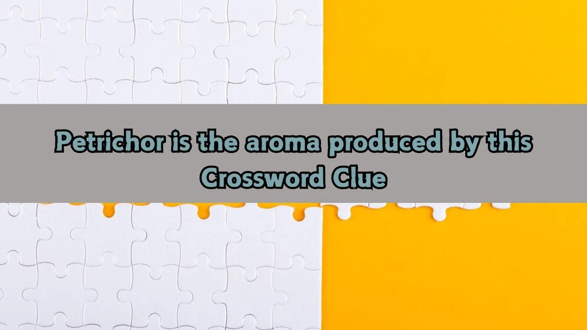 Petrichor is the aroma produced by this NYT Crossword Clue Puzzle Answer on September 12, 2024