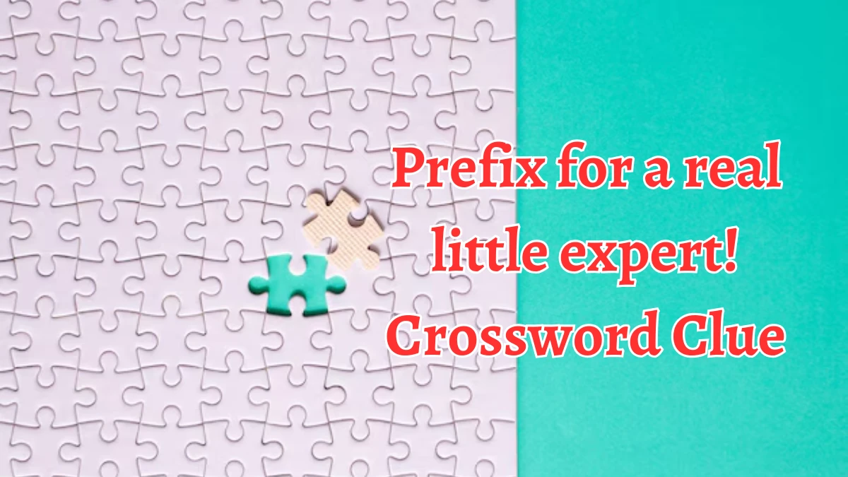 Prefix for a real little expert! Crossword Clue Answers on September 06, 2024