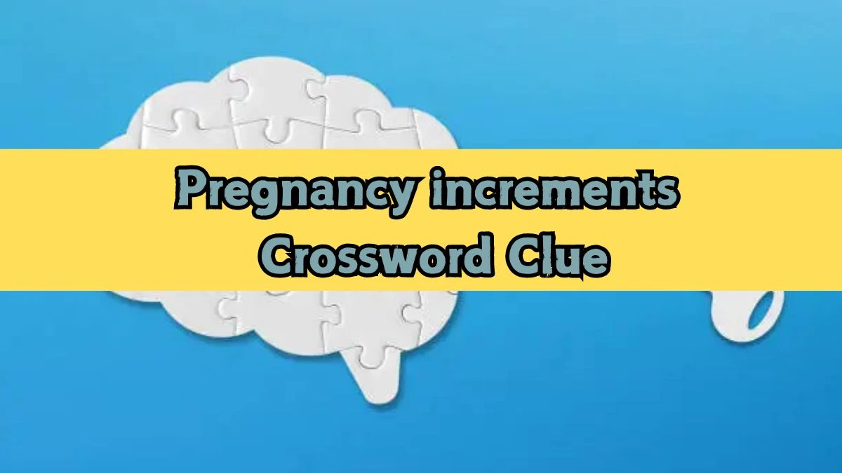 Pregnancy increments NYT Crossword Clue Puzzle Answer from September 12, 2024