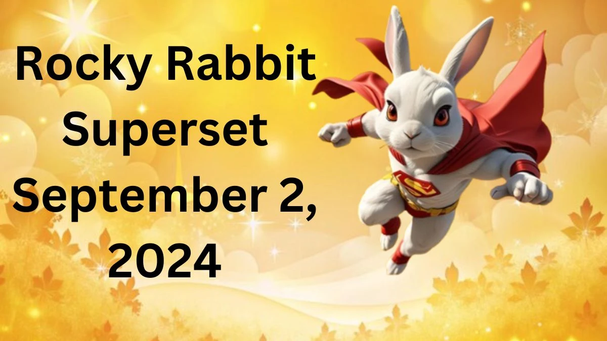 Rocky Rabbit Superset September 2, 2024