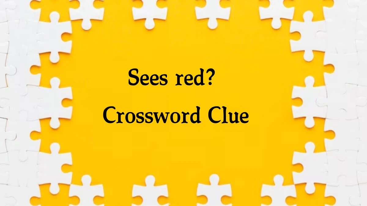 NYT Sees red? Crossword Clue Puzzle Answer from September 25, 2024