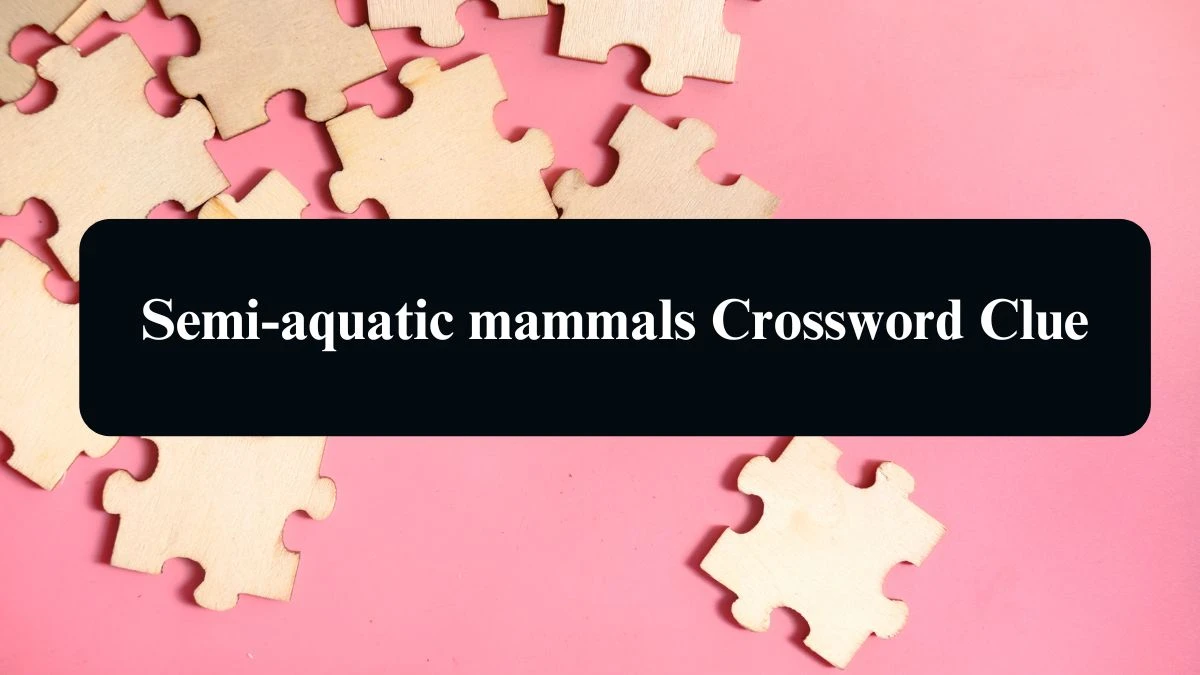 Irish Daily Mail Quick Semi-aquatic mammals 6 Letters Crossword Clue Puzzle Answers from September 10, 2024