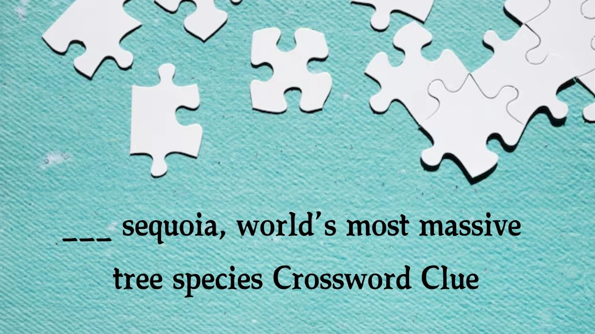 ___ sequoia, world’s most massive tree species NYT Crossword Clue Puzzle Answer on September 18, 2024