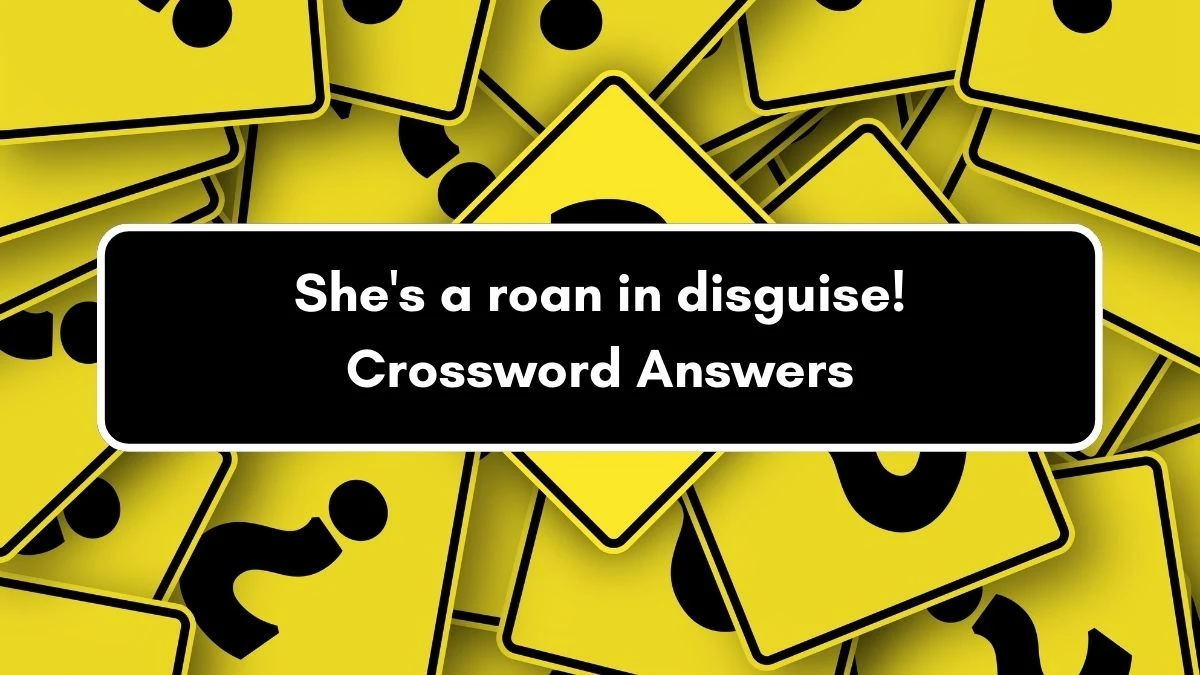 She's a roan in disguise! Crossword Clue Puzzle Answer from September 07, 2024