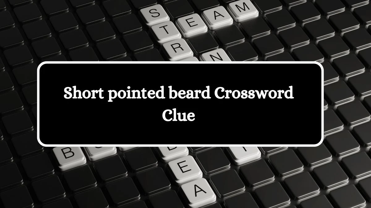 Short pointed beard 7 Little Words Puzzle Answer from September 30, 2024