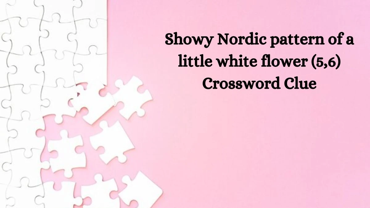 Showy Nordic pattern of a little white flower (5,6) Crossword Clue Puzzle Answer from September 24, 2024