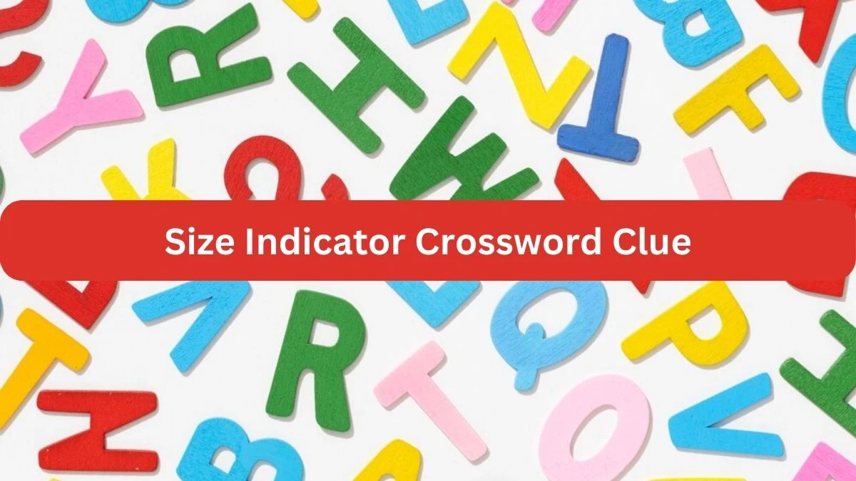 NYT Size Indicator Crossword Clue Puzzle Answer from September 20, 2024