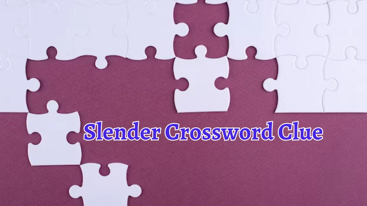 Slender 4 Letters Crossword Clue Puzzle Answer from September 12, 2024