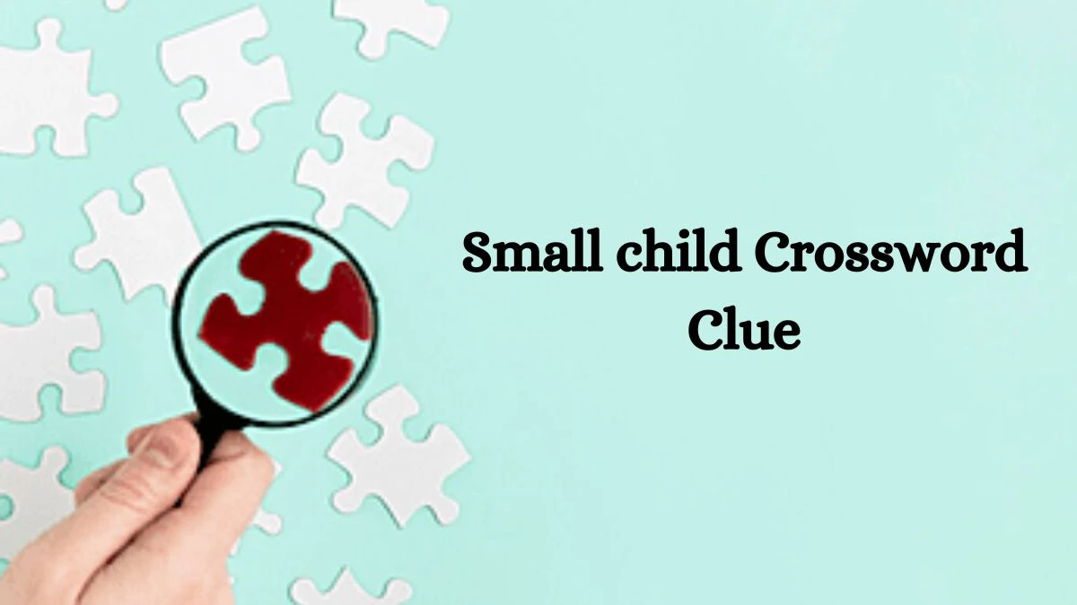 Small child Irish Daily Mail Quick Crossword Clue Puzzle Answer from September 18, 2024