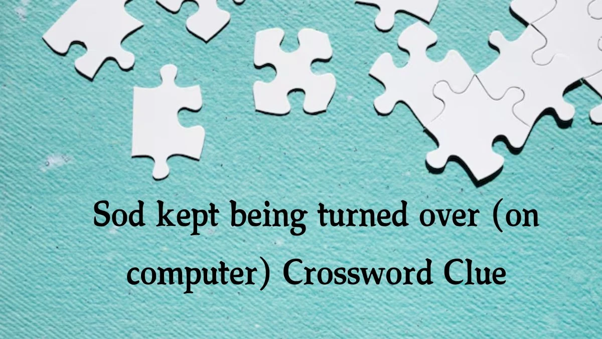 Sod kept being turned over (on computer) Crossword Clue Puzzle Answer from September 04, 2024