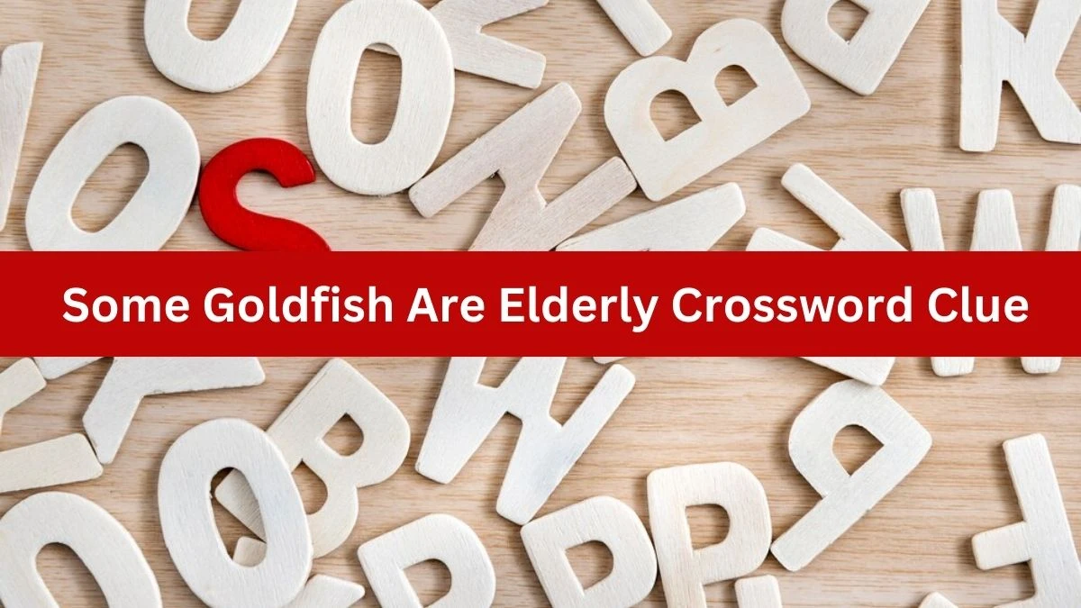 Some Goldfish Are Elderly Crossword Clue Puzzle Answer from October 01, 2024