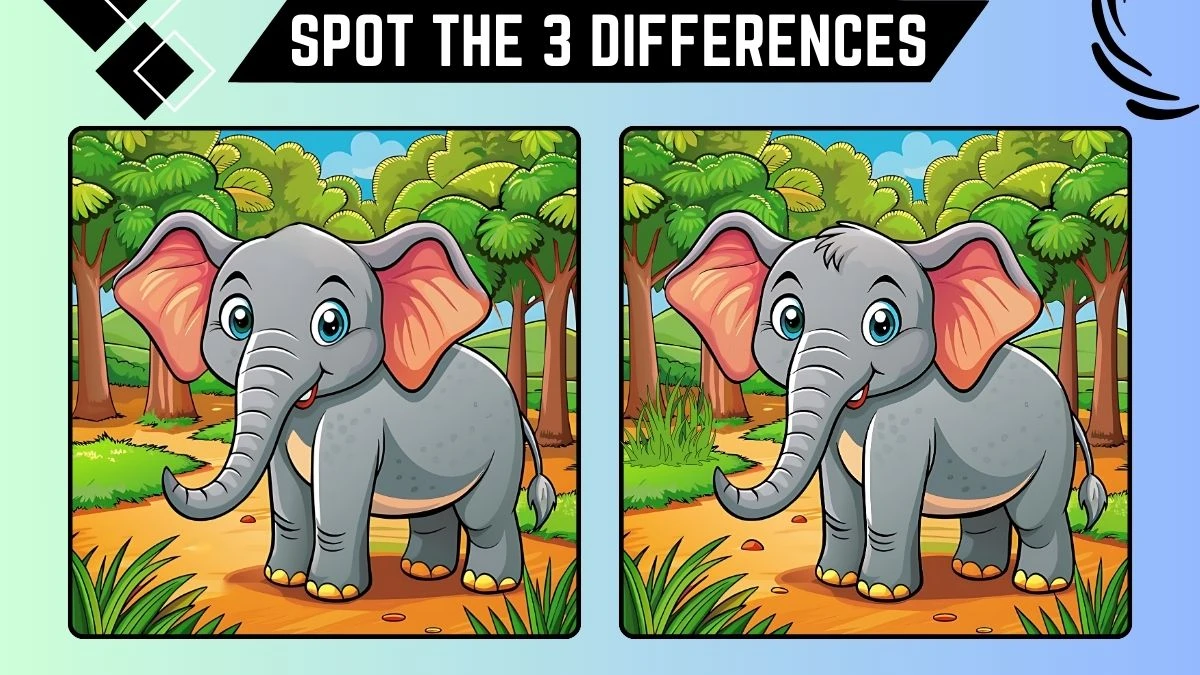 Spot the 3 Differences: Only Extra Sharp Eyes Can Spot the 3 Differences in this Elephant Image in 10 Secs | Picture Puzzle Game