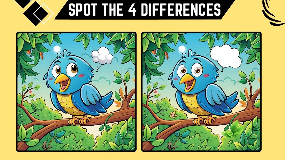 Spot the 4 Differences: Only Sharp Eyes Can Spot the 4 Differences in this Blue Bird Image in 14 Secs