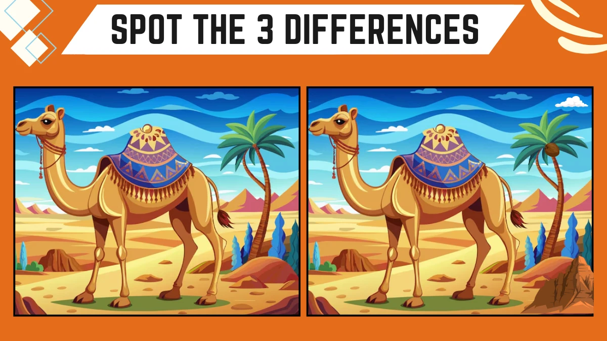 Spot the Difference Game: Only Extra Sharp Eyes Can Spot the 3 Differences in this Camel Image in 9 Secs