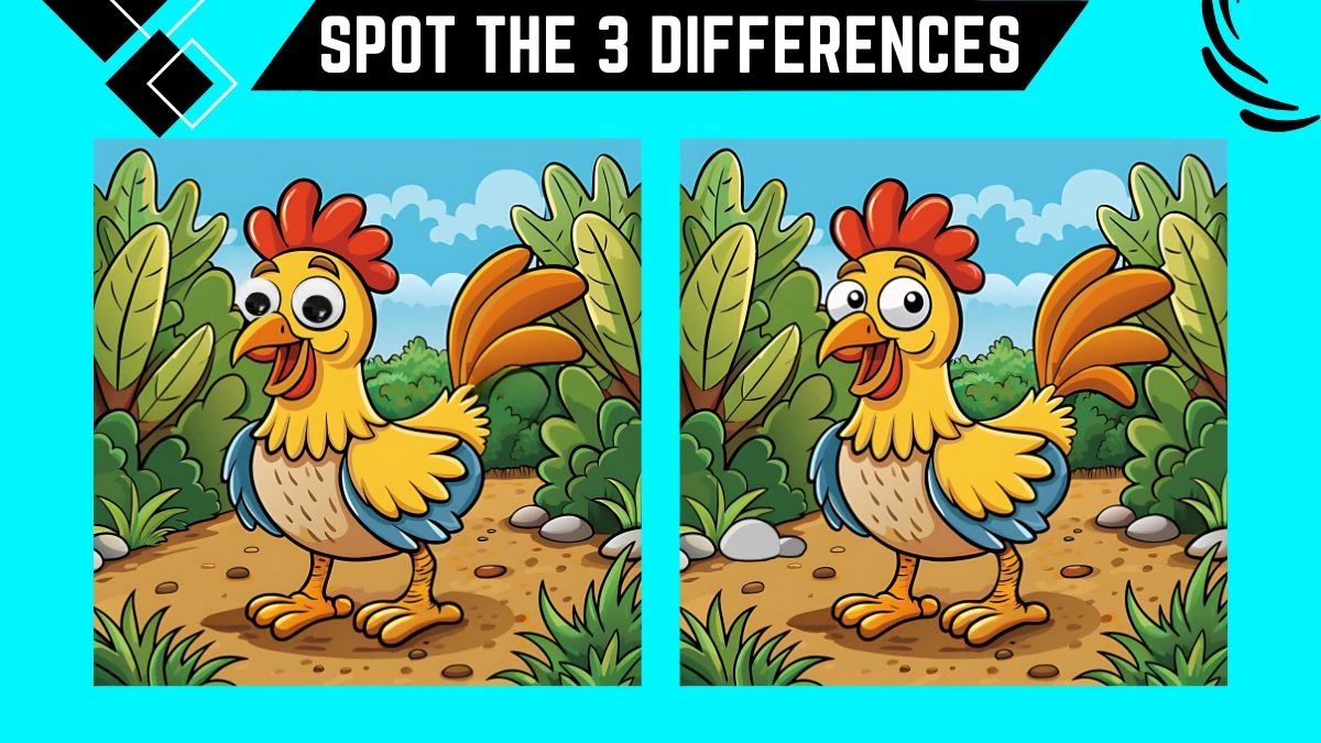 Spot the Difference Game: Only Genius Can Spot the 3 Differences in this Rooster Image in 10 Secs