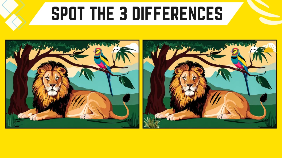 Spot the Difference Game: Only Genius with Eagle Eyes Can Spot the 3 Differences in this lion and Parrot Image in 10 Secs