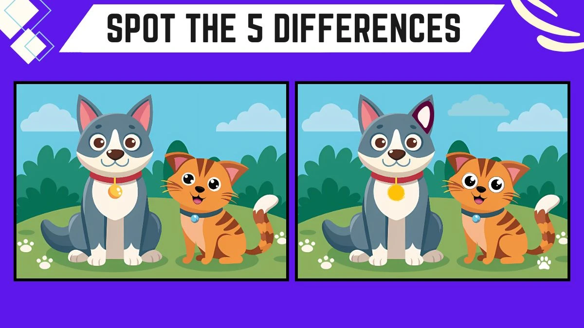 Spot the Difference Picture Puzzle Game: Only Hawk Eyes Can Spot the 5 Differences in this Cat and Dog Image in 10 Secs