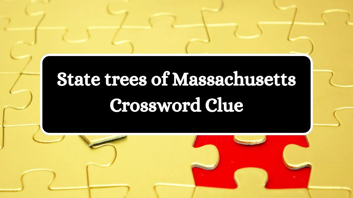 State trees of Massachusetts NYT Crossword Clue Puzzle Answer on September 24, 2024