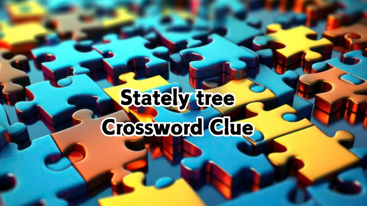 Stately tree NYT Crossword Clue Puzzle Answer from September 12, 2024