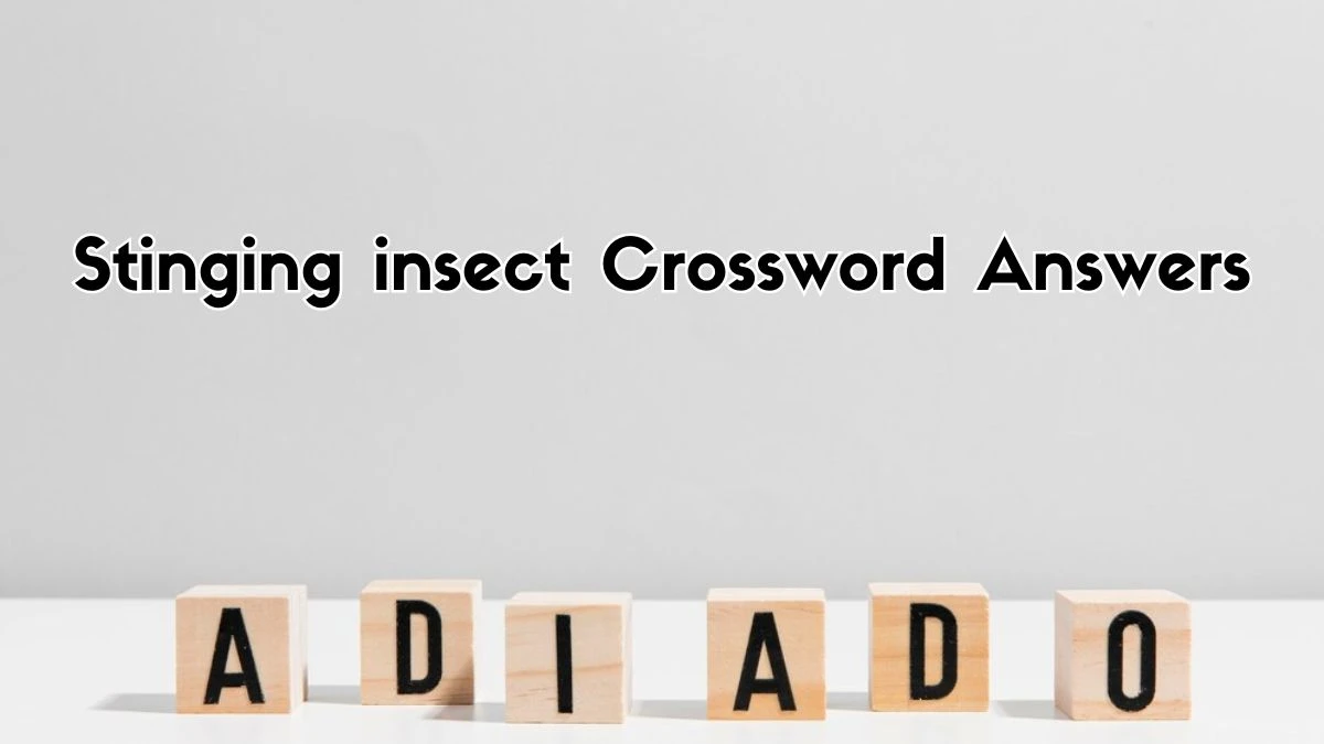 Stinging insect Irish Daily Mail Quick Crossword Clue Puzzle Answer from September 13, 2024