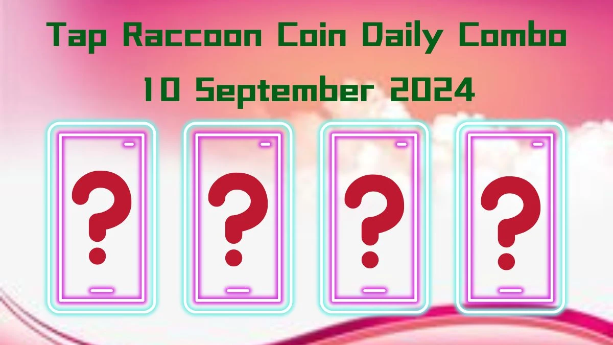 Tap Raccoon Coin Daily Combo 10 September 2024