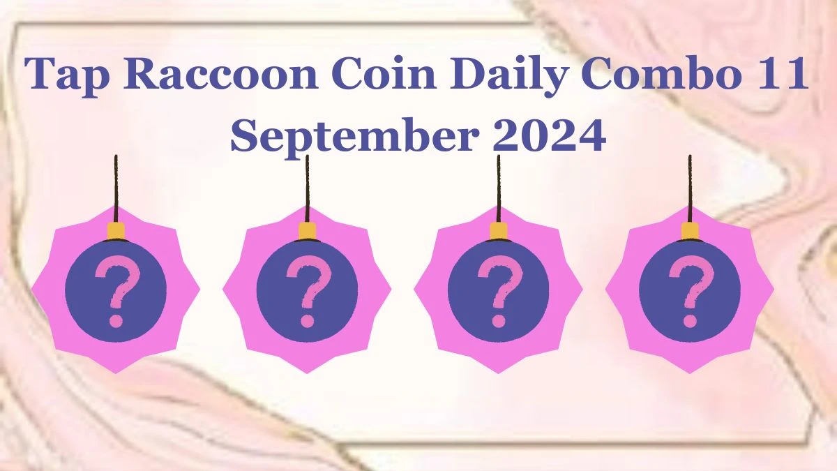 Tap Raccoon Coin Daily Combo 11 September 2024