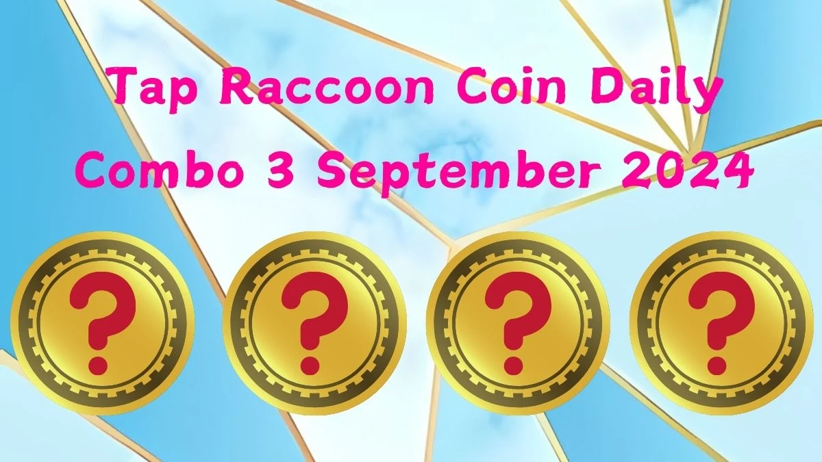 Tap Raccoon Coin Daily Combo 3 September 2024