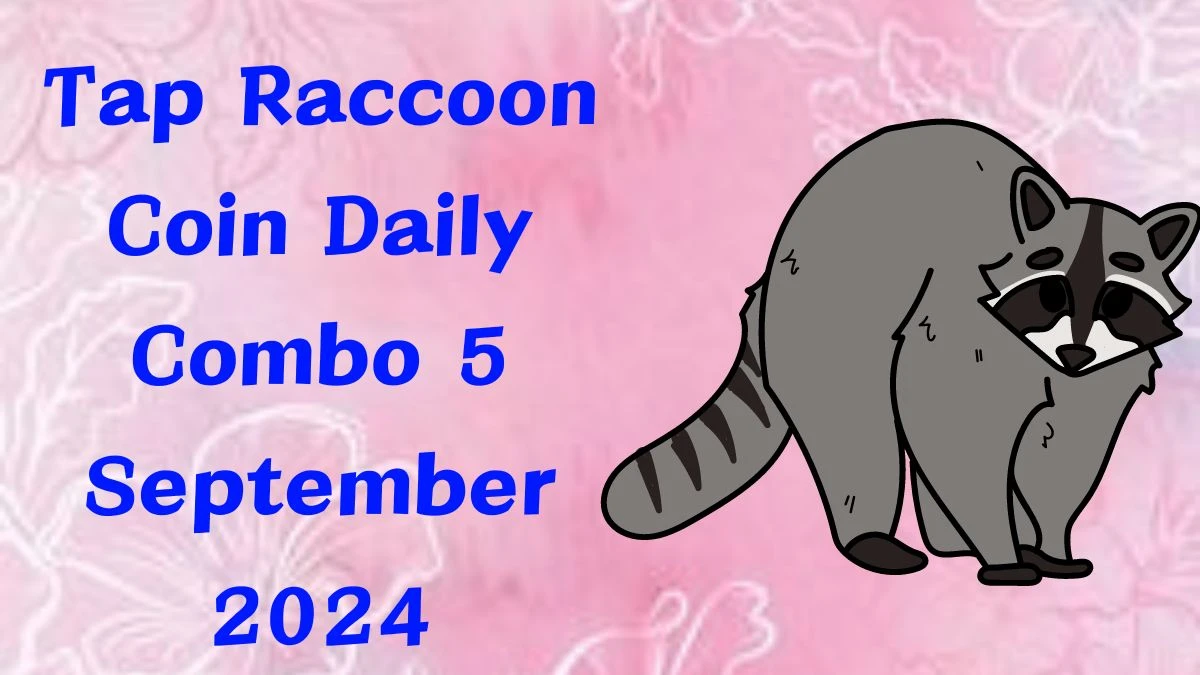 Tap Raccoon Coin Daily Combo 5 September 2024