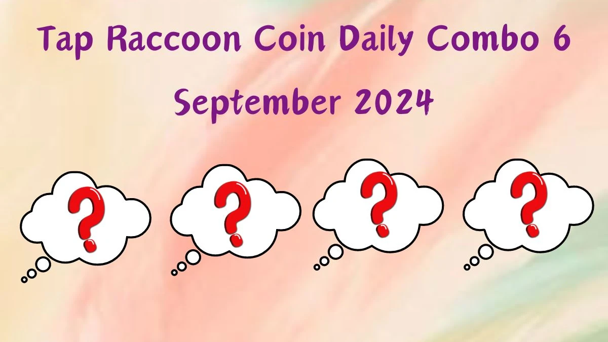 Tap Raccoon Coin Daily Combo 6 September 2024