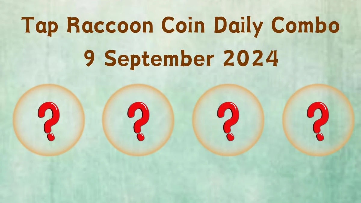 Tap Raccoon Coin Daily Combo 9 September 2024