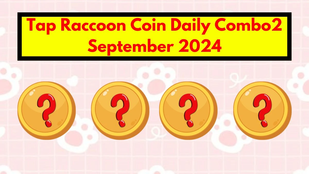 Tap Raccoon Coin Daily Combo2 September 2024