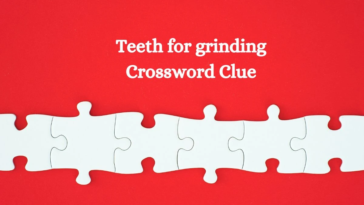 Teeth for grinding 6 Letters Crossword Clue Puzzle Answer from September 29, 2024