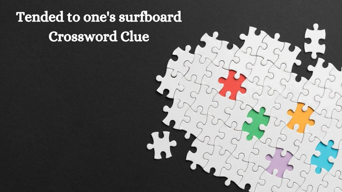 Tended to one's surfboard 7 Little Words Puzzle Answer from September 27, 2024