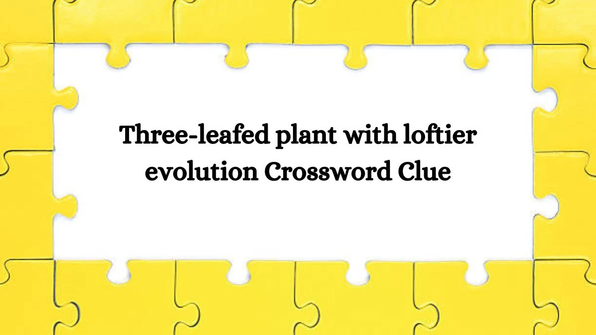 Irish Daily Mail Quick Three-leafed plant with loftier evolution 7 Letters Crossword Clue Puzzle Answers from September 11, 2024