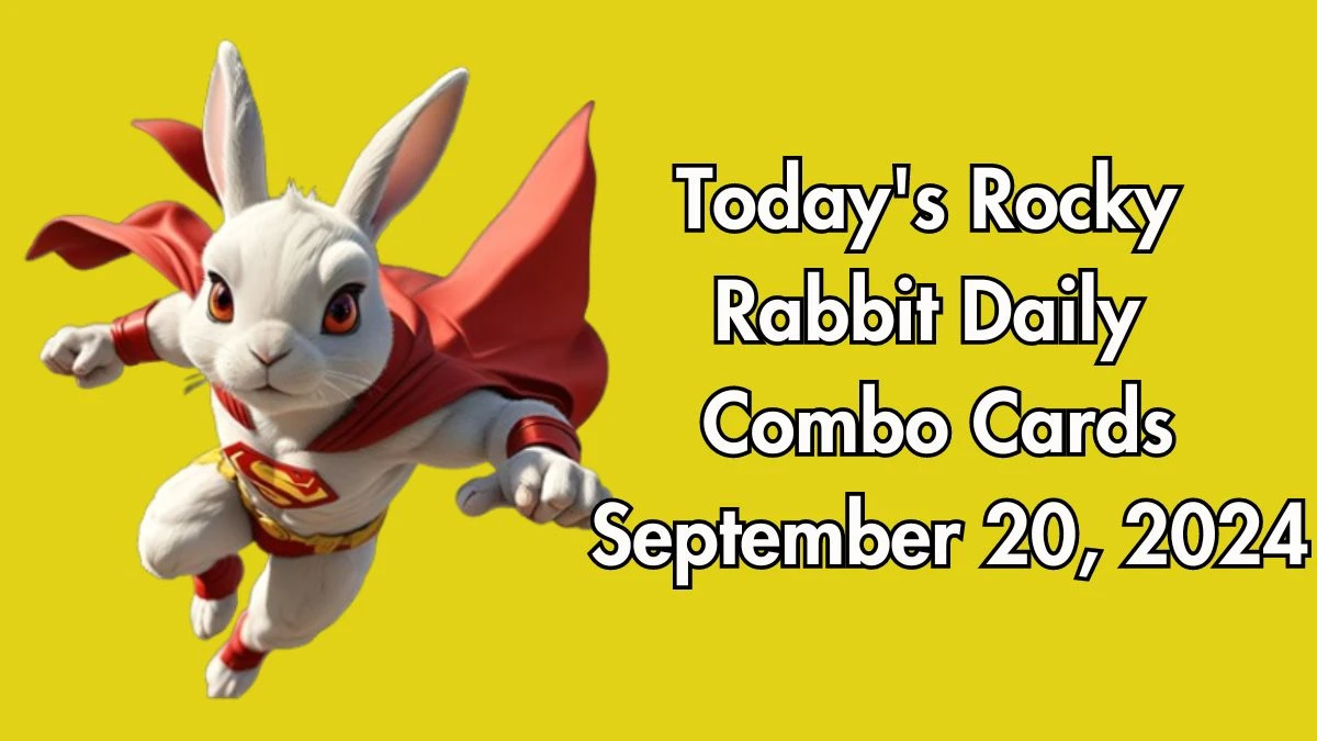 Today's Rocky Rabbit Daily Combo Cards September 20, 2024