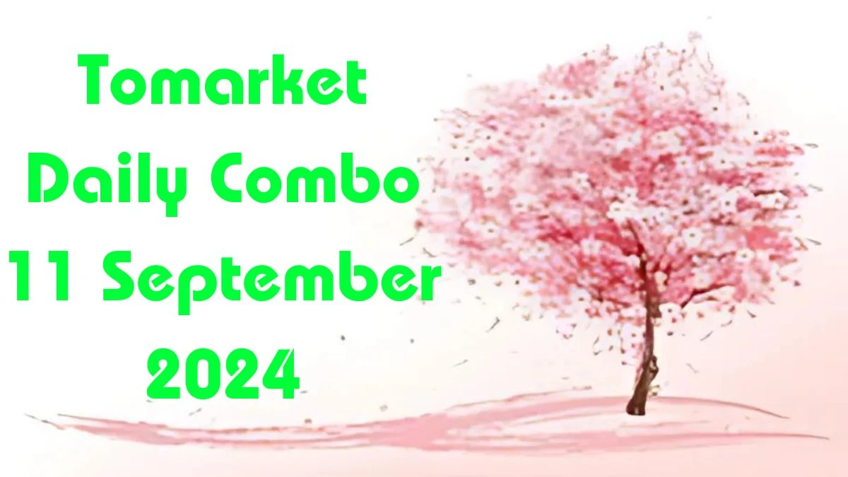 Tomarket Daily Combo 11 September 2024