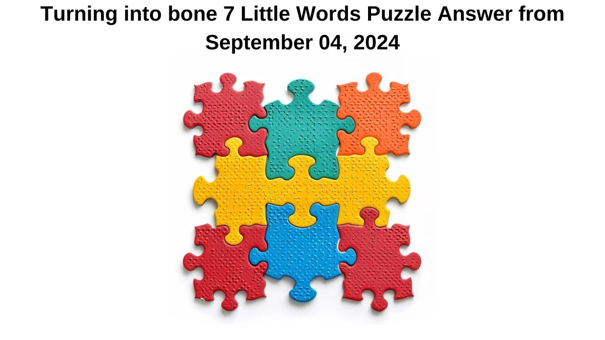 Turning into bone 7 Little Words Puzzle Answer from September 04, 2024