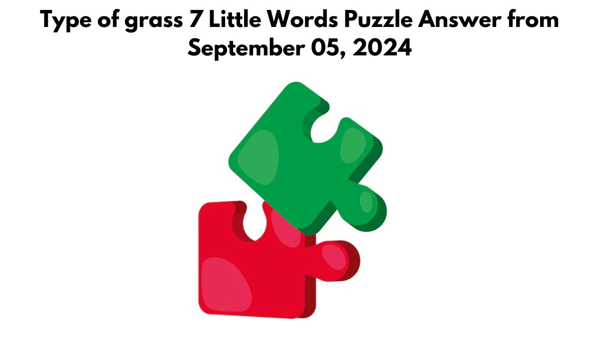 Type of grass 7 Little Words Puzzle Answer from September 05, 2024