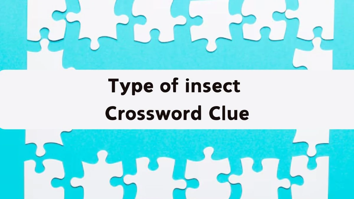 Type of insect Irish Daily Mail Quick Crossword Clue Puzzle Answer from September 20, 2024