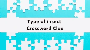 Type of insect Irish Daily Mail Quick Crossword Clue Puzzle Answer from September 20, 2024