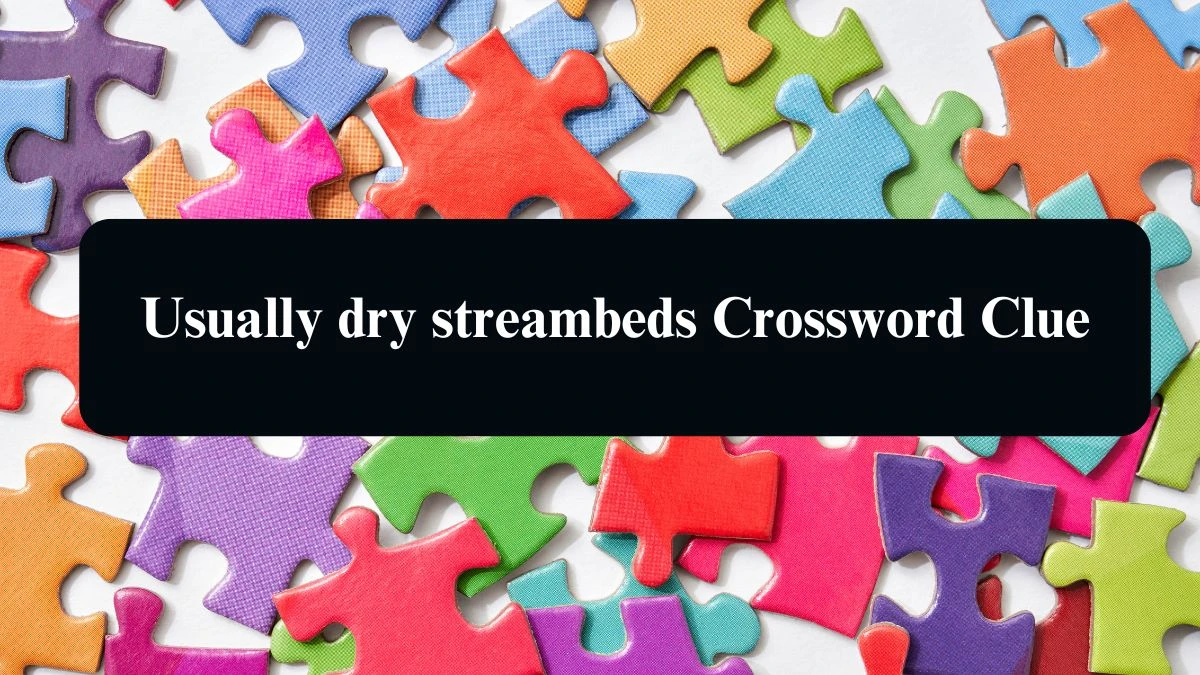 Usually dry streambeds NYT Crossword Clue Puzzle Answer on September 11, 2024