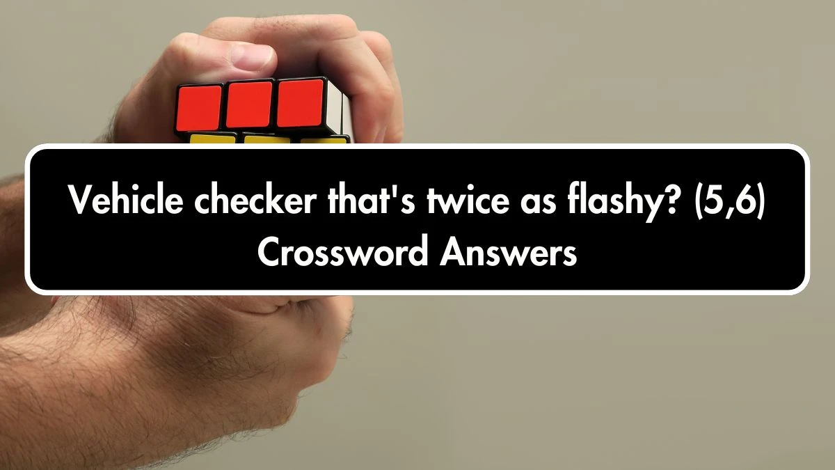 Vehicle checker that's twice as flashy? (5,6) Crossword Clue Puzzle Answer from September 28, 2024